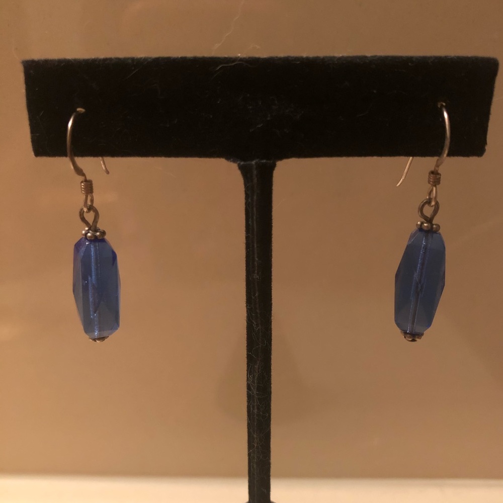 Simple, Blue Earrings